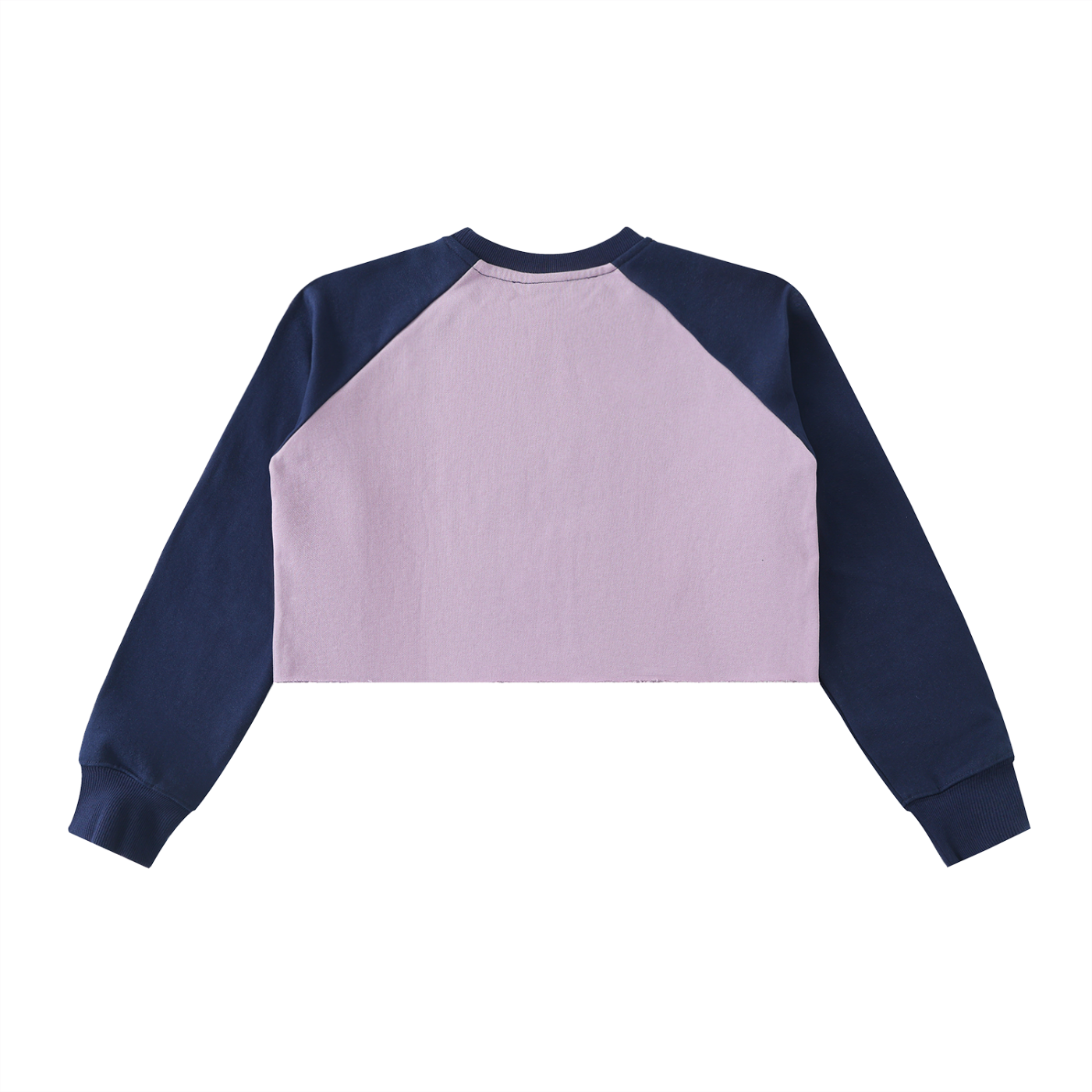 L’ori Ice Paris Raw-Hem Color-Block Raglan Crop Sweatshirt