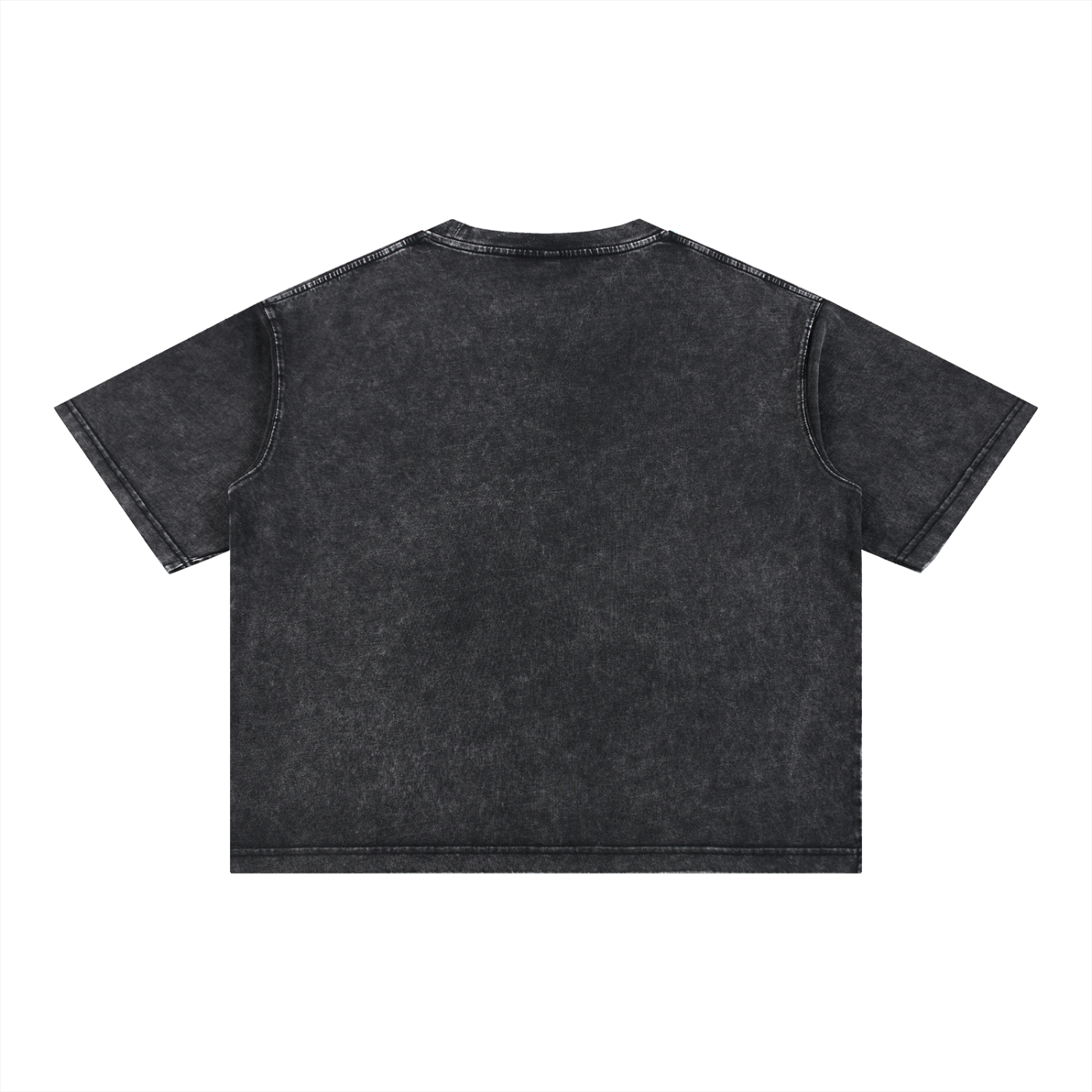 L’ori Ice Paris Mineral Wash Boxy Cotton T-Shirt