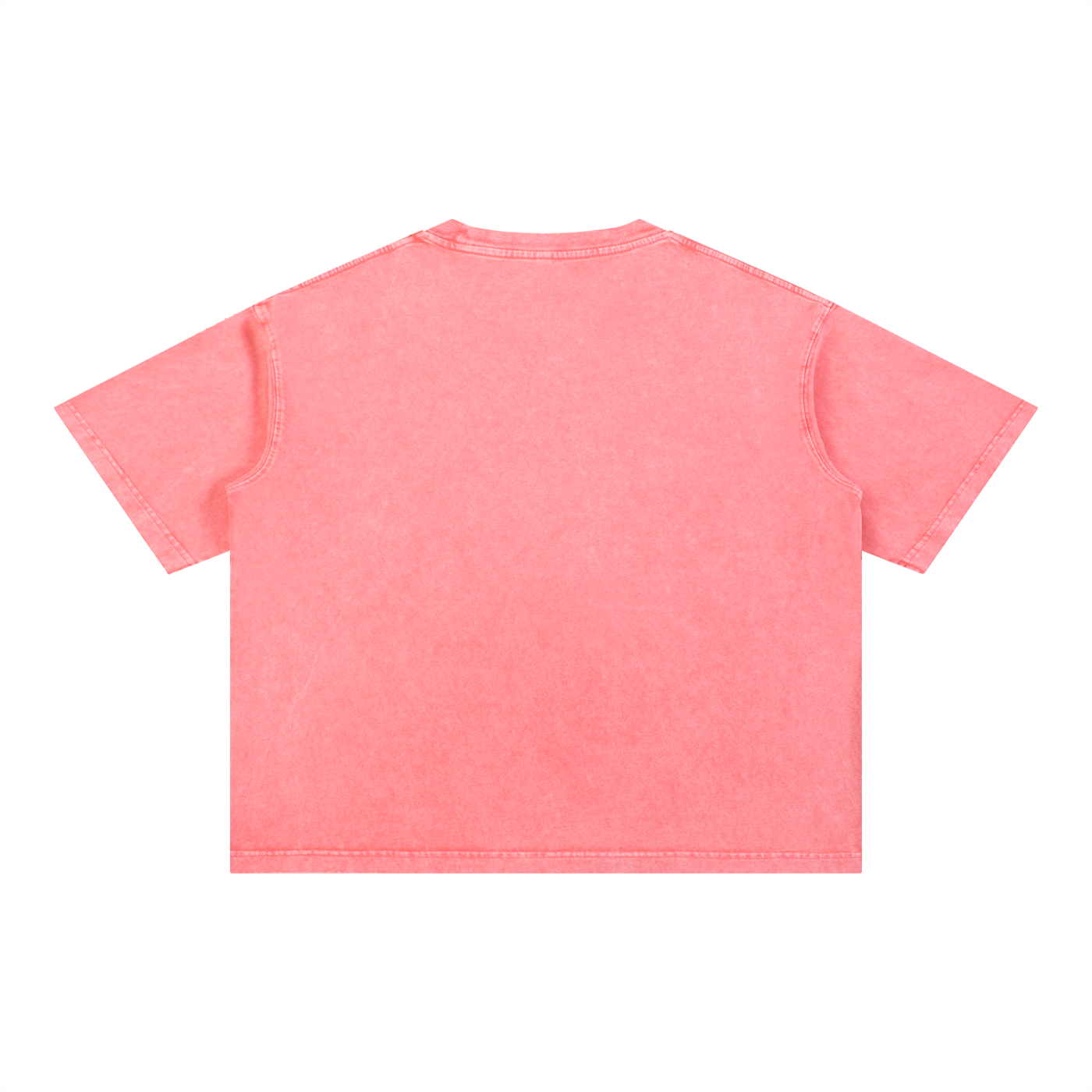 L’ori Ice Paris Mineral Wash Boxy Cotton T-Shirt
