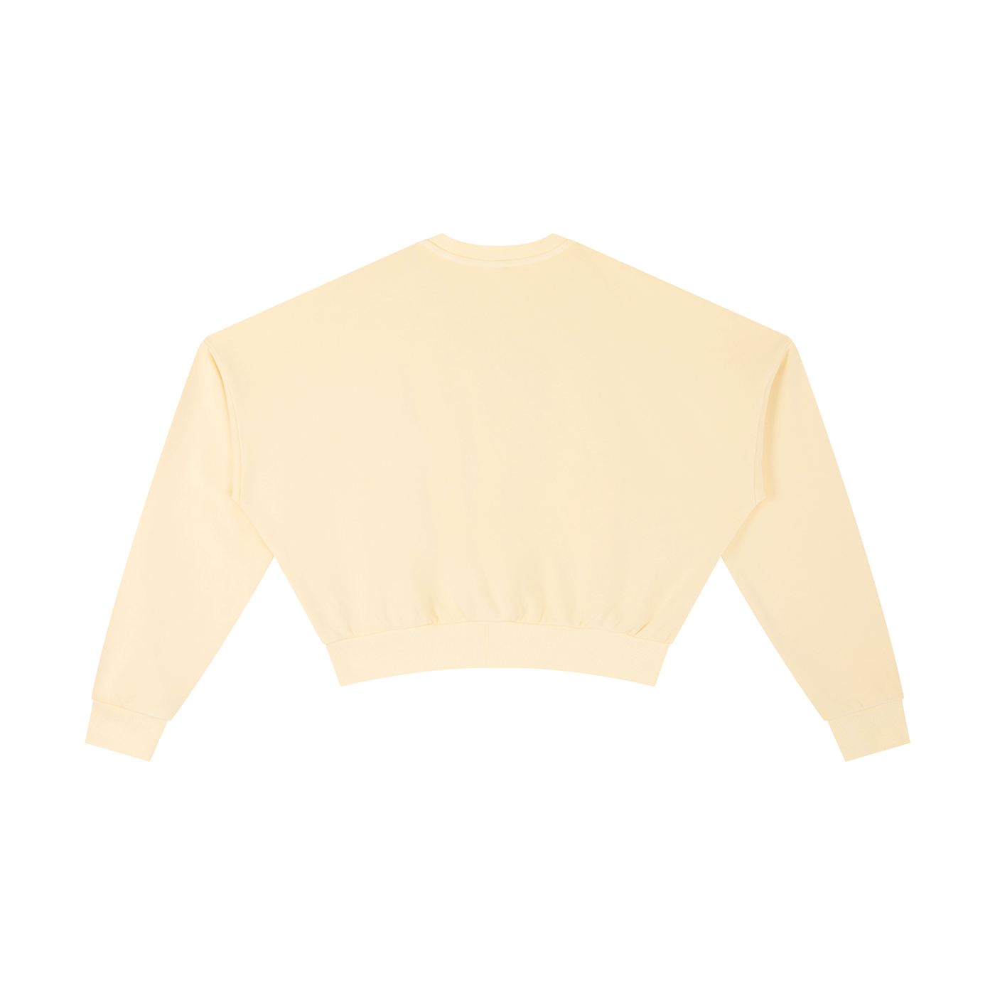 L’ori Ice Paris Vintage Washed Cropped Sweatshirt